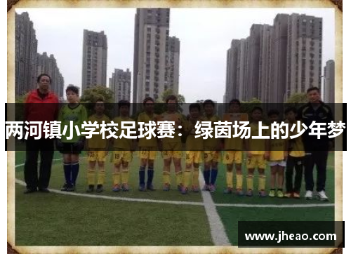 两河镇小学校足球赛：绿茵场上的少年梦